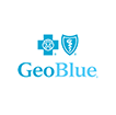 Geo Blue Logo