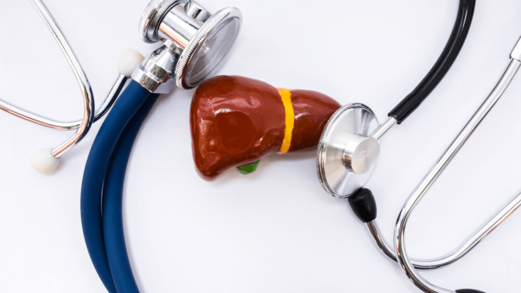 liver & a stethoscope